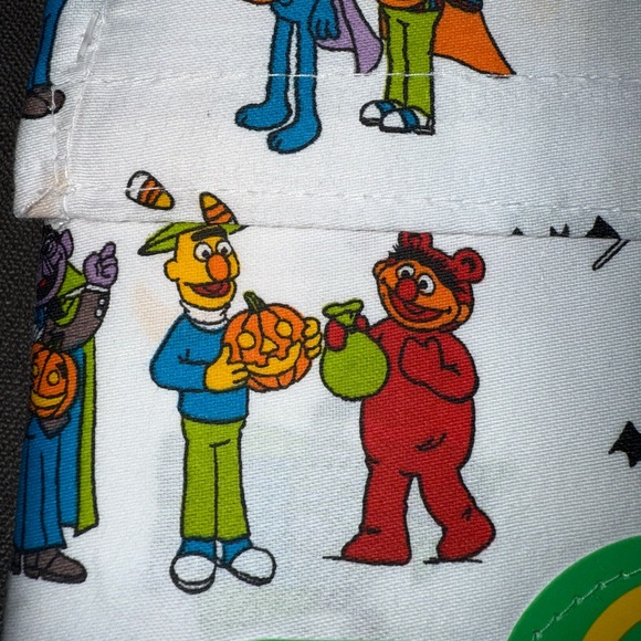 Sesame Street Halloween Pillowcases / Halloween Pillow Cases - Picture 4 of 5